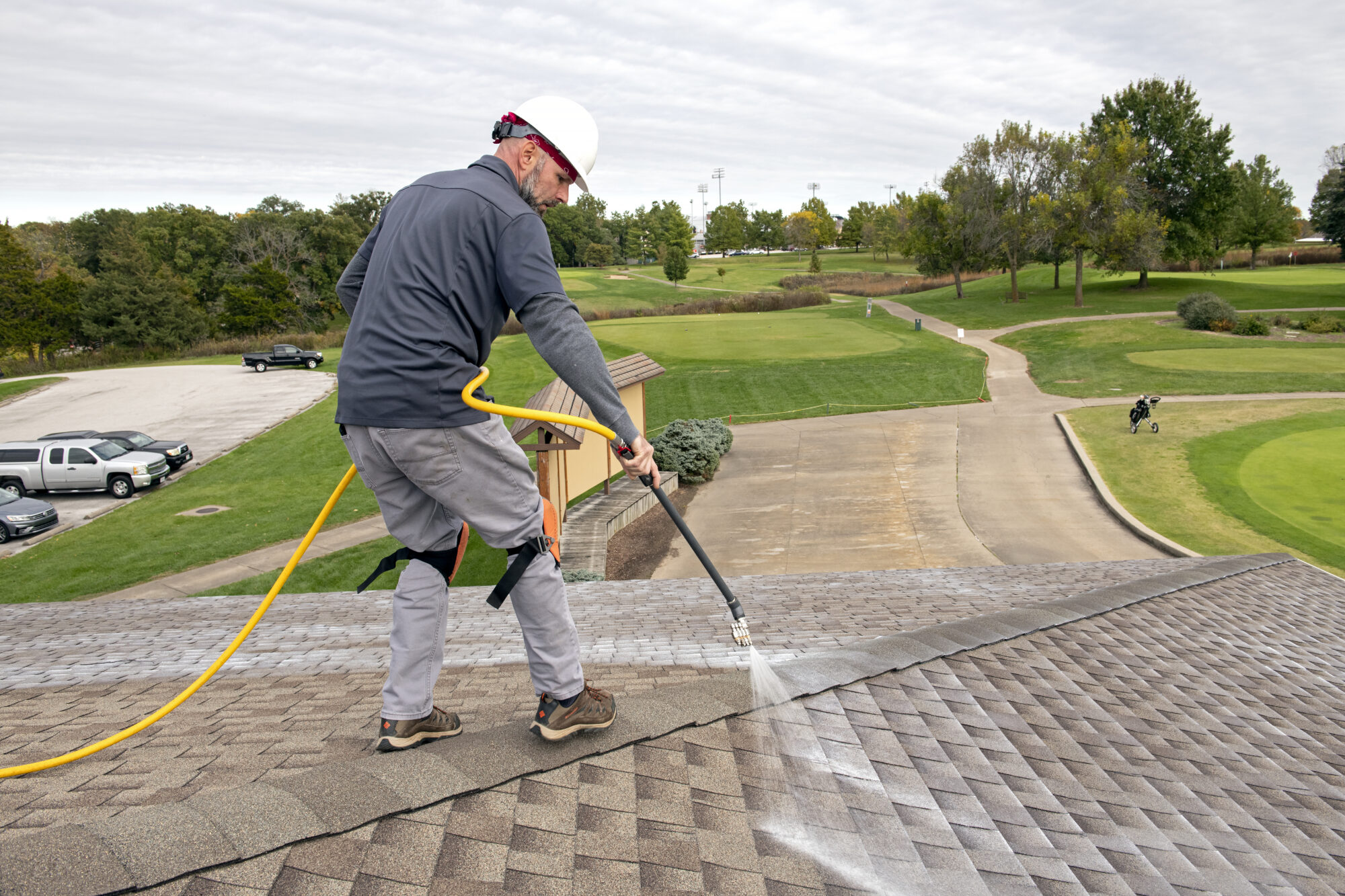 Applicator treating shingles with tall-oil serum